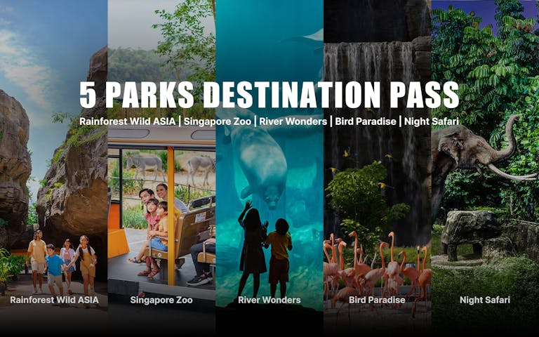 5-Parks Destination Pass 